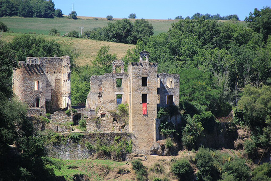 Chateau de Saint Martin Laguepie旅游景点图片