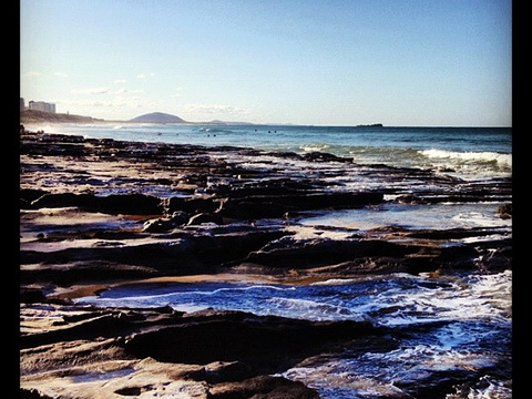 Alexandra Headland Surf Club旅游景点图片