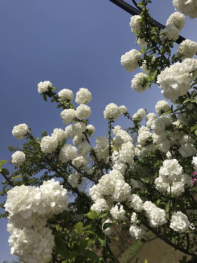 码头潭文化遗址公园