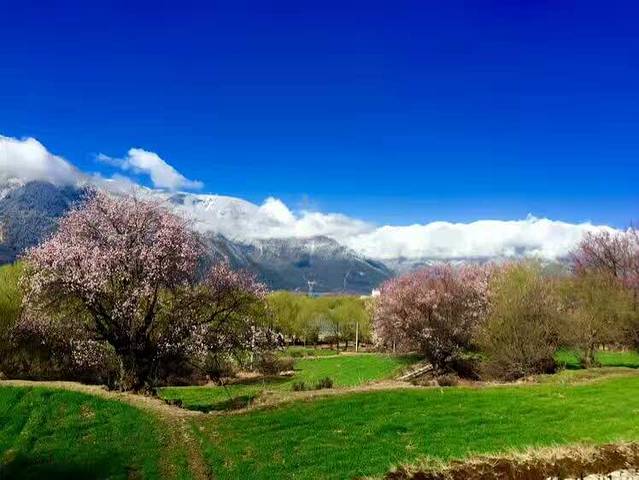鸿昌兴(松花江路店)