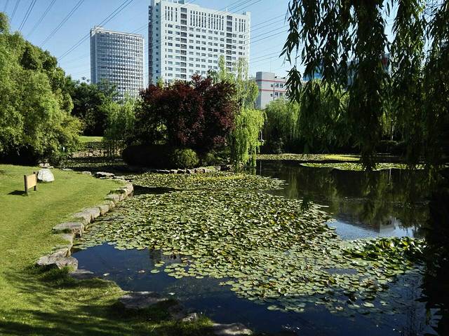 漕河泾开发区公园