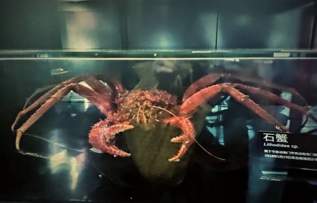 同济大学(四平路校区)深海探索馆