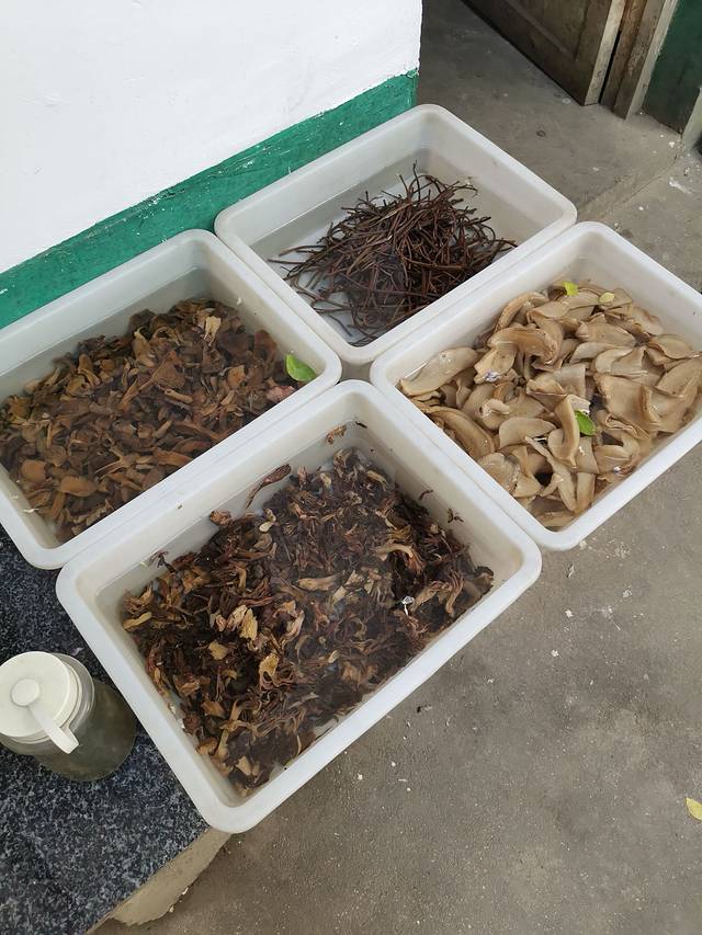 尧山第E家地锅鸡