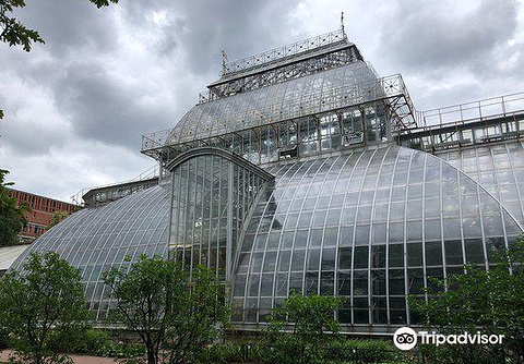 圣彼得堡植物园的图片