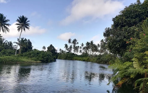 Tavoro Falls的图片