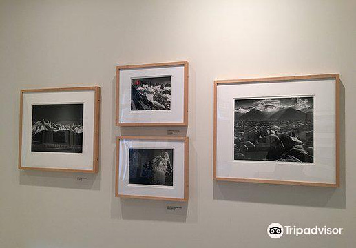 Wilderness Society Ansel Adams Collection旅游景点图片