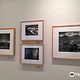 Wilderness Society Ansel Adams Collection