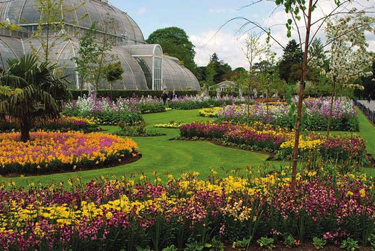 爱丁堡皇家植物园旅游景点图片