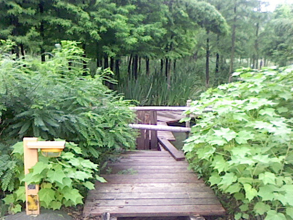 蔷薇园体育公园