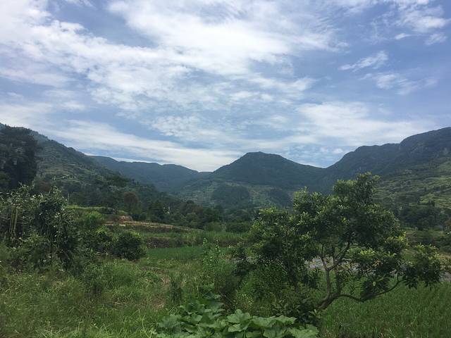 覆卮山必胜野外烧烤基地