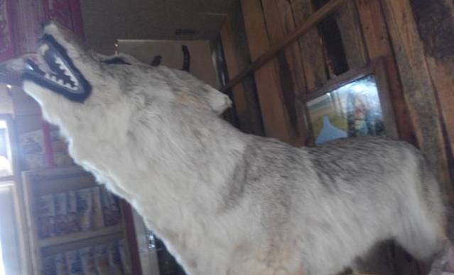 老阿妈蒙餐馆(锦馨园小区店)