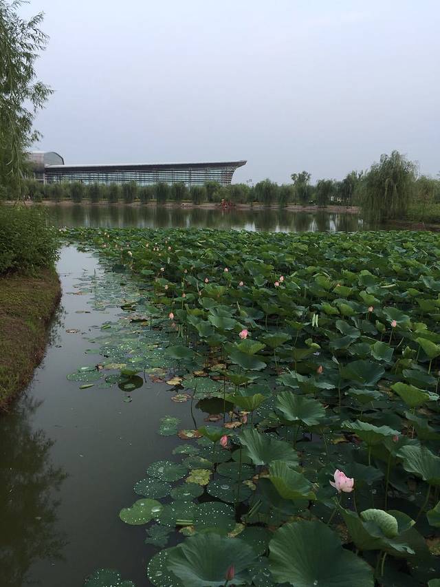 北大荒农机博览园