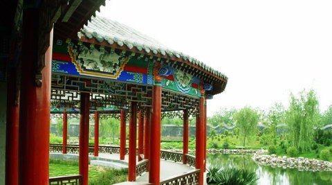 濮阳毛楼生态旅游区