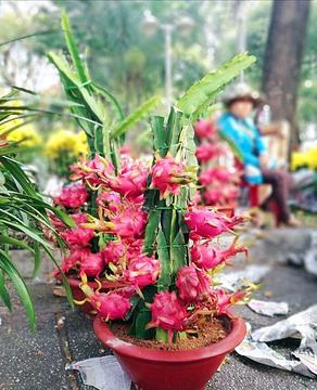 Ho Thi Ky Flower Market的图片