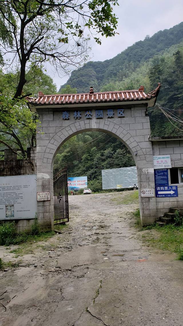 莲花洞森林公园