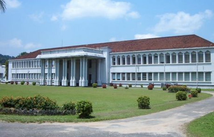 佩拉德尼亚大学