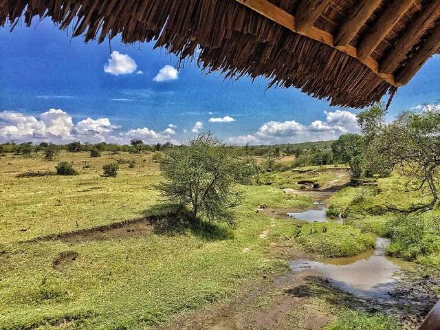 Naboisho私人保护区