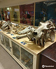 TCD Zoological Museum