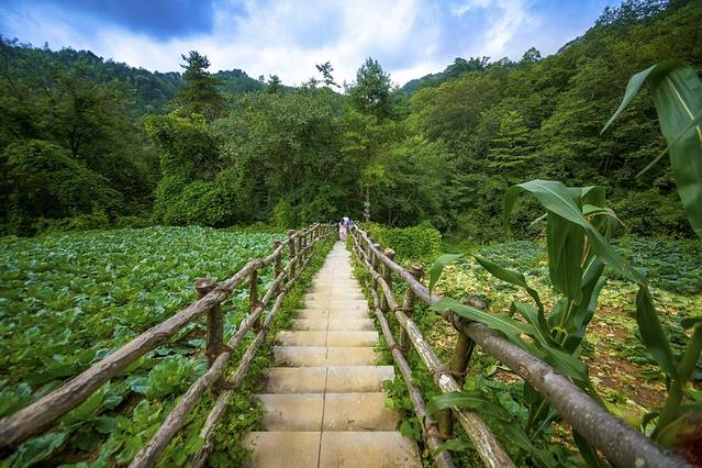曾家山川洞天坑