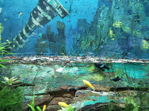 长沙海方海洋公园