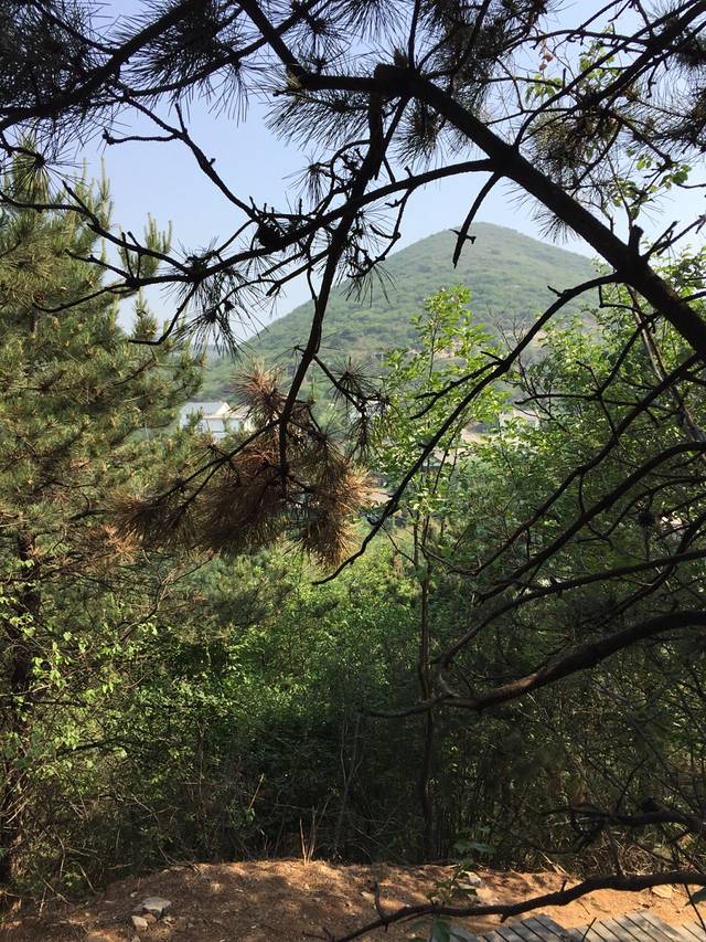 元古奇石林风景区