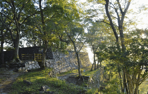 城山旅游景点图片