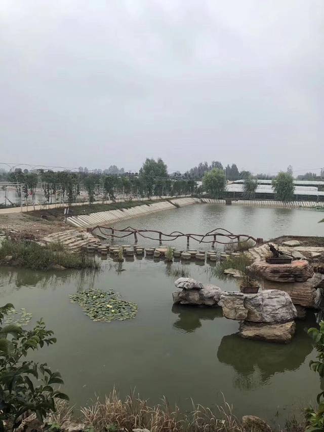 染坊湾生态农场