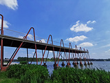 远香湖