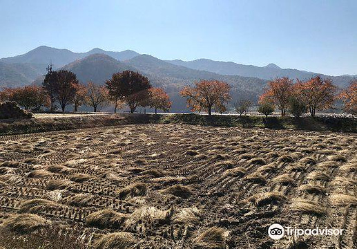 安东河回村旅游景点图片