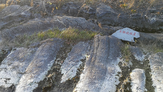 爬虫状熔岩旅游景点图片