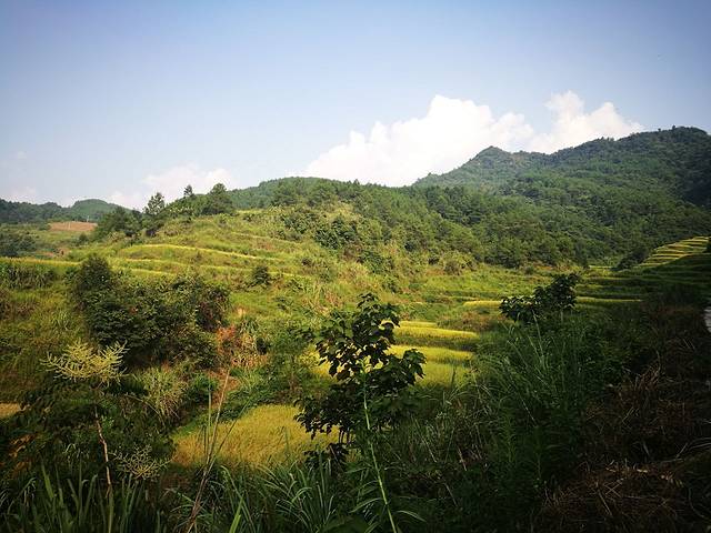 石龙过江风景区