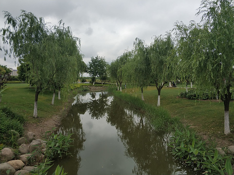 翠湖公园旅游景点图片