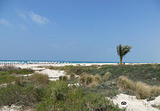 Saadiyat Public Beach