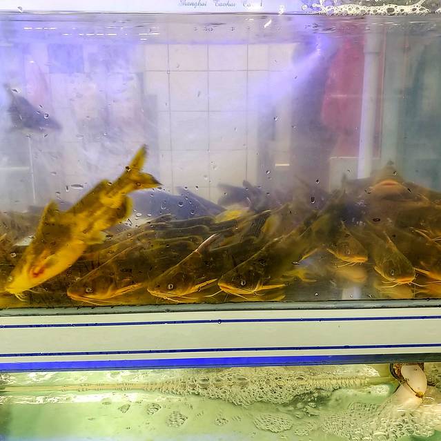 大润发(安溪宝龙广场店)