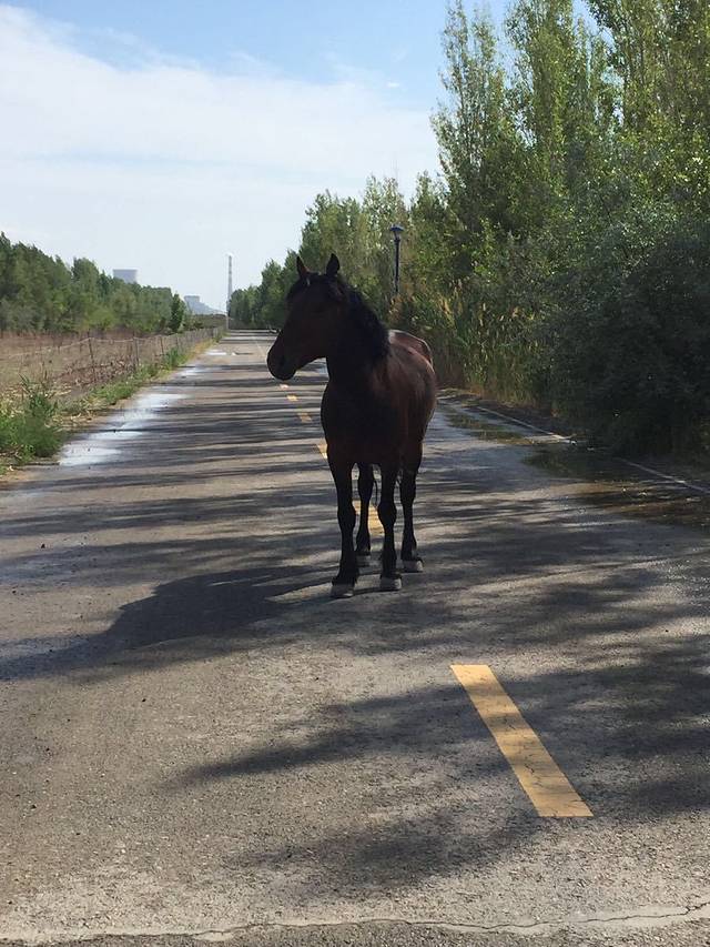 荒漠绿洲生态园