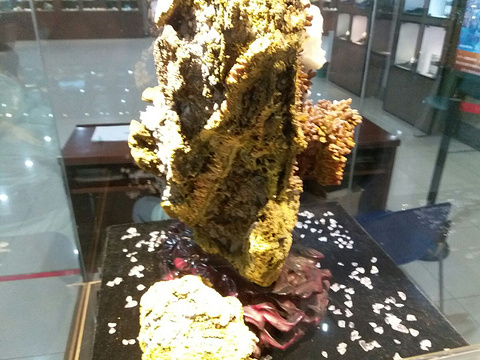 地质宝藏博物馆(宁波海港城商业广场店)的图片