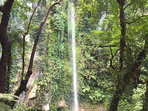 Katibawasan Falls旅游景点图片