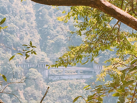 2021谷关风景区 旅游攻略 门票 地址 问答 游记点评 台中旅游旅游景点推荐 去哪儿攻略