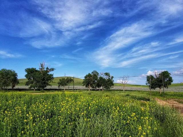 福源之星农家院