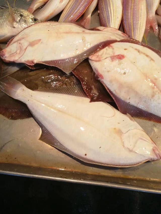 东海湾渔庄(老字号)