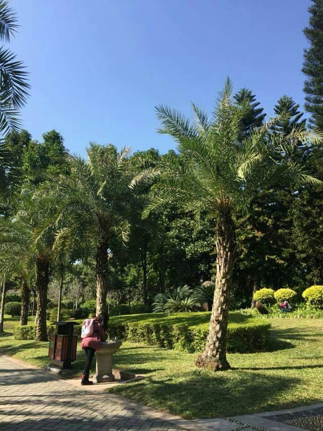 华润万家(莲塘店)