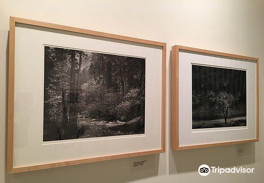 Wilderness Society Ansel Adams Collection旅游景点图片