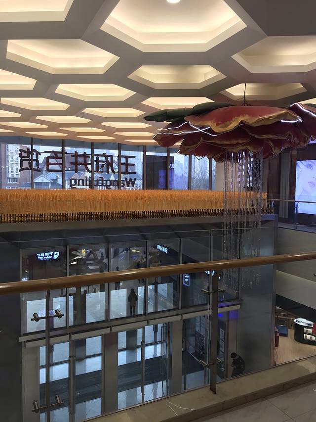 王府井百货(郑州店)