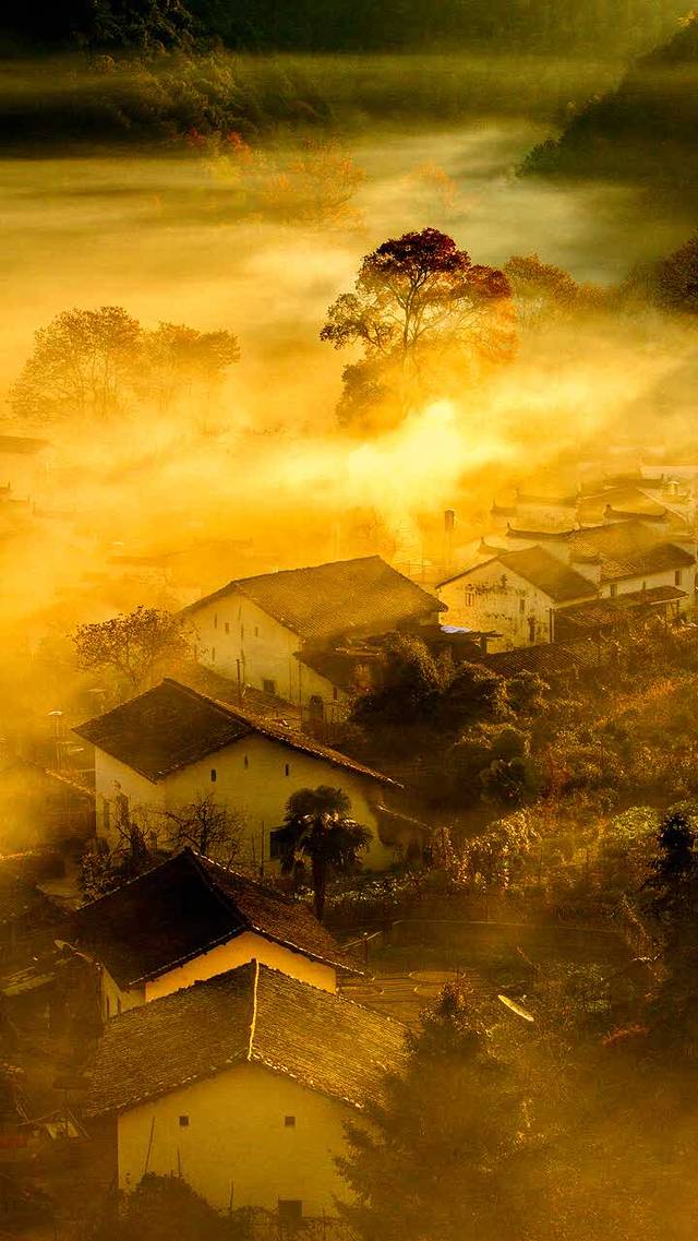 周黑鸭(华中科技大学地铁站店)