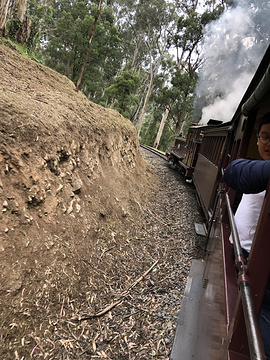 Puffing Billy Playground