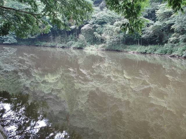 朱家山国家森林公园