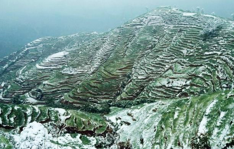 大黑山省级森林公园