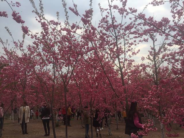 沈家山森林公园