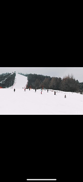 神农架国际滑雪场旅游景点攻略图