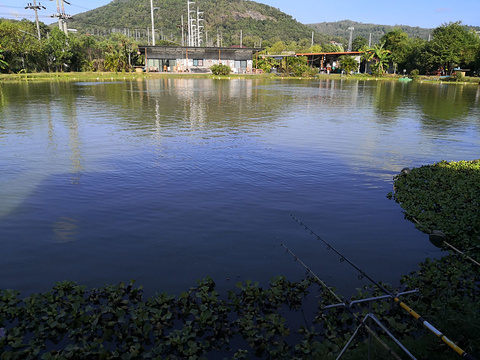 Chalong Fishing Park